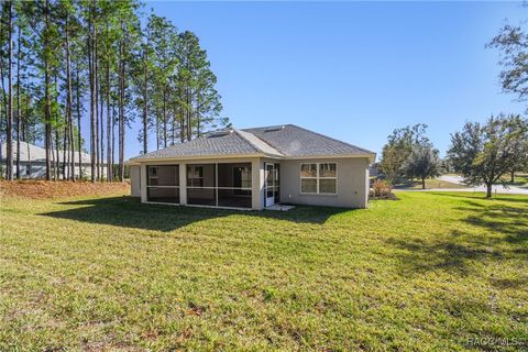 A home in Hernando