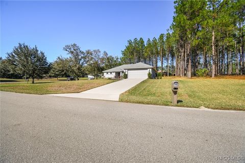 A home in Hernando