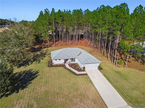 A home in Hernando