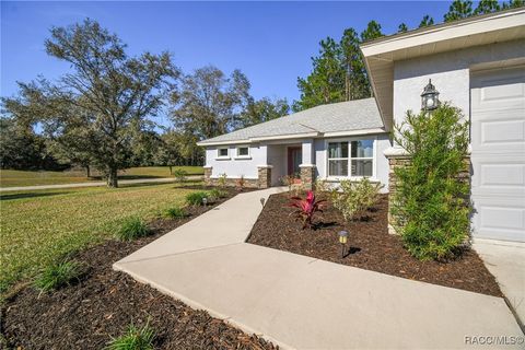 A home in Hernando