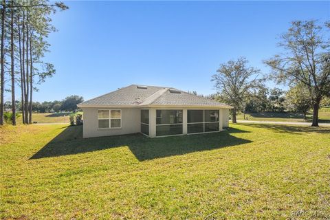 A home in Hernando