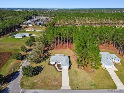 A home in Hernando