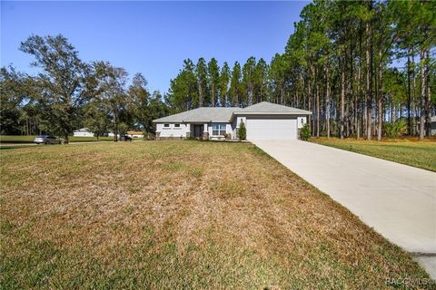 A home in Hernando