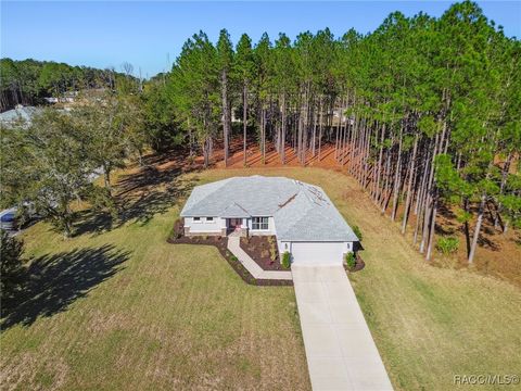 A home in Hernando