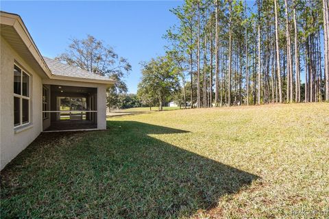 A home in Hernando