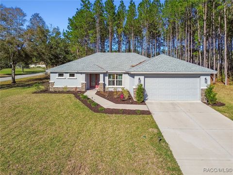 A home in Hernando