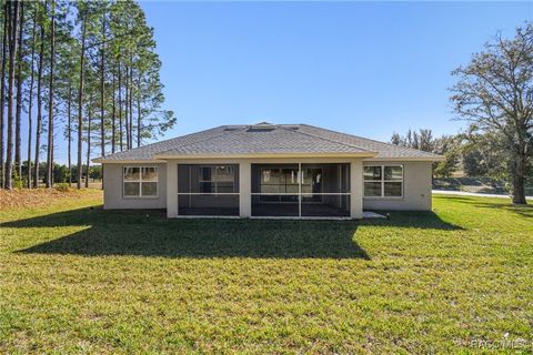 A home in Hernando