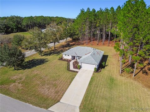 A home in Hernando