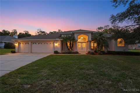 3 Bonnie Court S Homosassa FL 34446