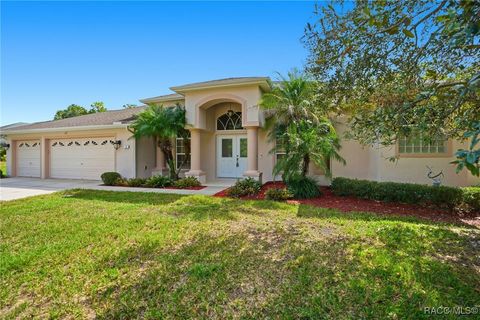 3 Bonnie Court S Homosassa FL 34446