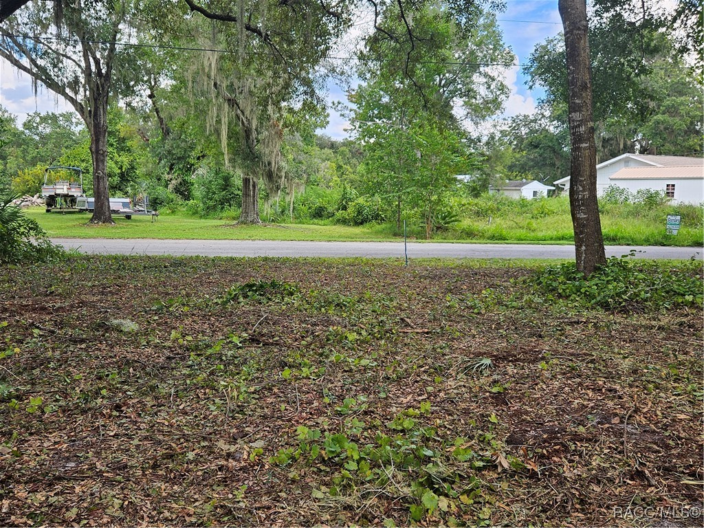 4059 E Gloria Drive, Hernando, Florida image 6