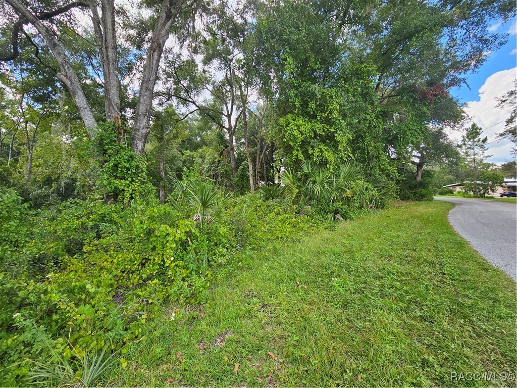 4059 E Gloria Drive, Hernando, Florida image 25