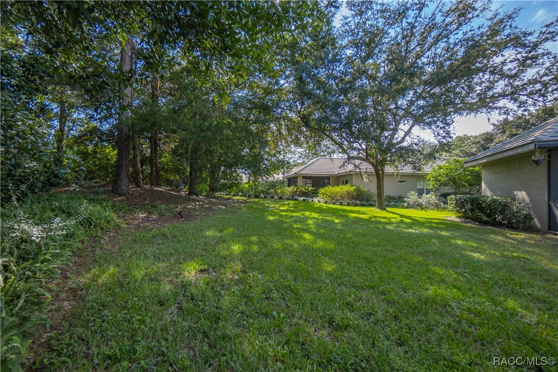 3086 N Barton Creek Circle, Lecanto, Florida image 45