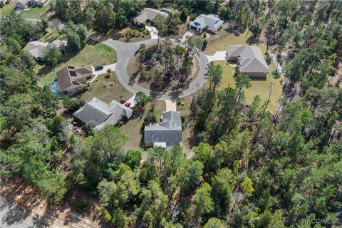 A home in Homosassa