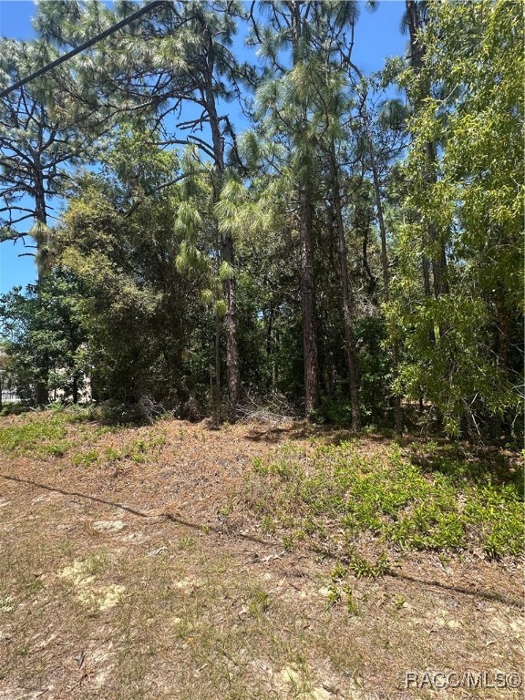 557 W Anderson Lane, Citrus Springs, Florida image 3