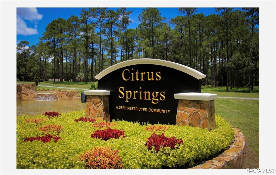 557 W Anderson Lane, Citrus Springs, Florida image 6