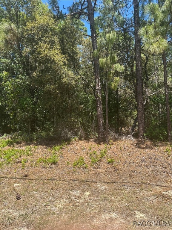 557 W Anderson Lane, Citrus Springs, Florida image 1