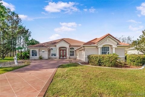 1417 E Seattle Slew Circle Inverness FL 34453