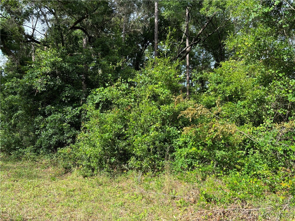 11312 N Fuego Drive, Citrus Springs, New York image 3