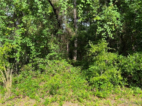 Homes For Sale - 11312 N Fuego Drive<br/> Citrus Springs, FL 34434