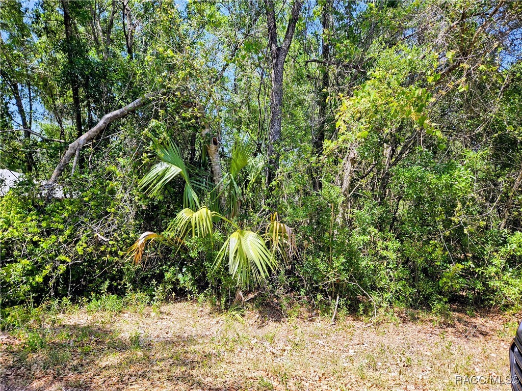 4043 E Dano Street, Inverness, Florida image 1
