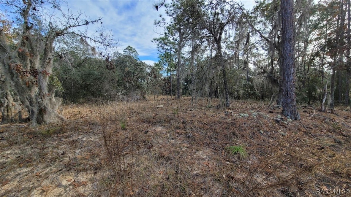 837 N Kensington Avenue, Lecanto, Florida image 8