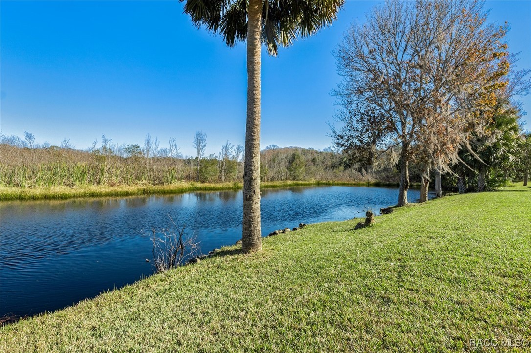 410 N Golf Harbor Path, Inverness, Florida image 45