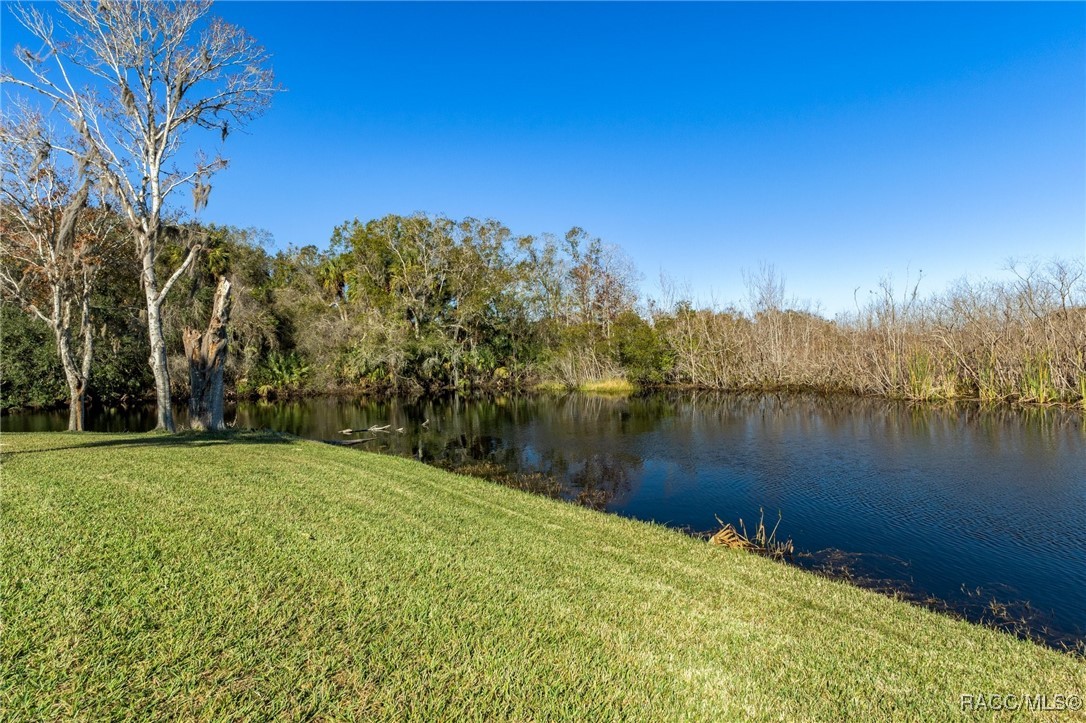 410 N Golf Harbor Path, Inverness, Florida image 44