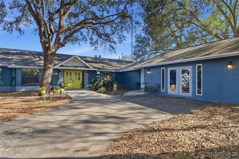 7425 S Irma Point Lecanto FL 34461