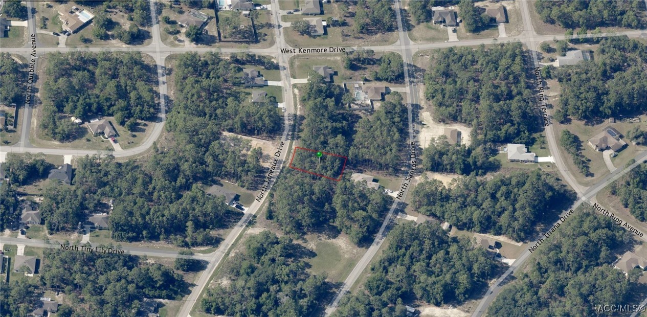 7930 N Janeaux Drive, Citrus Springs, New York image 4