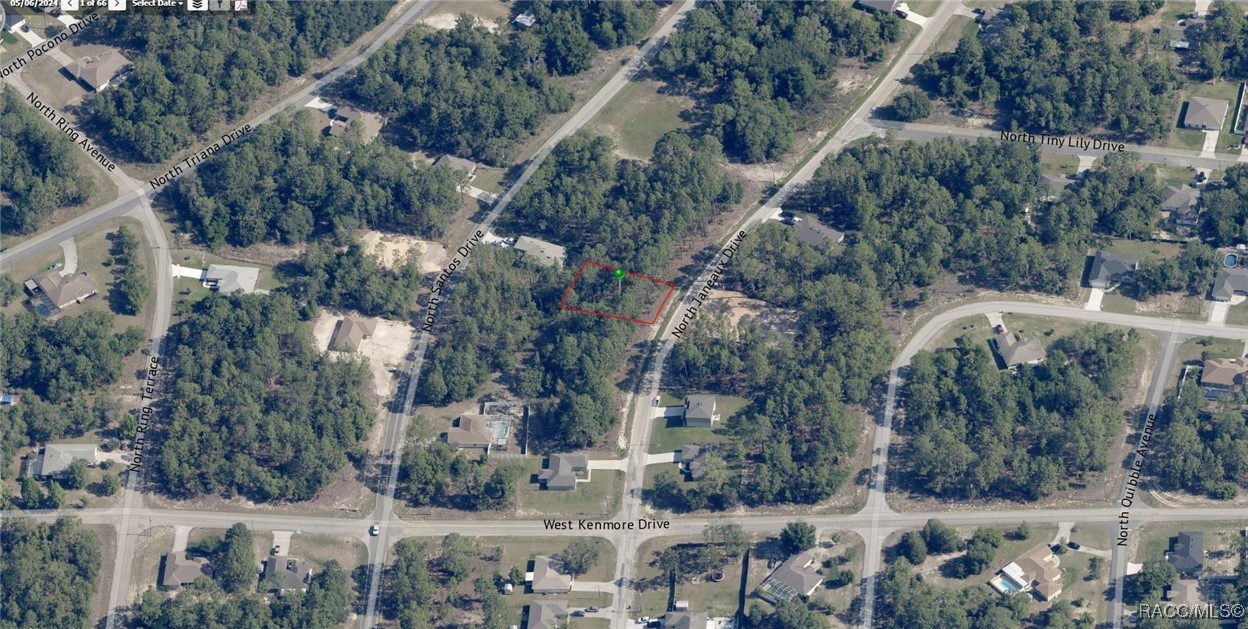 7930 N Janeaux Drive, Citrus Springs, New York image 2