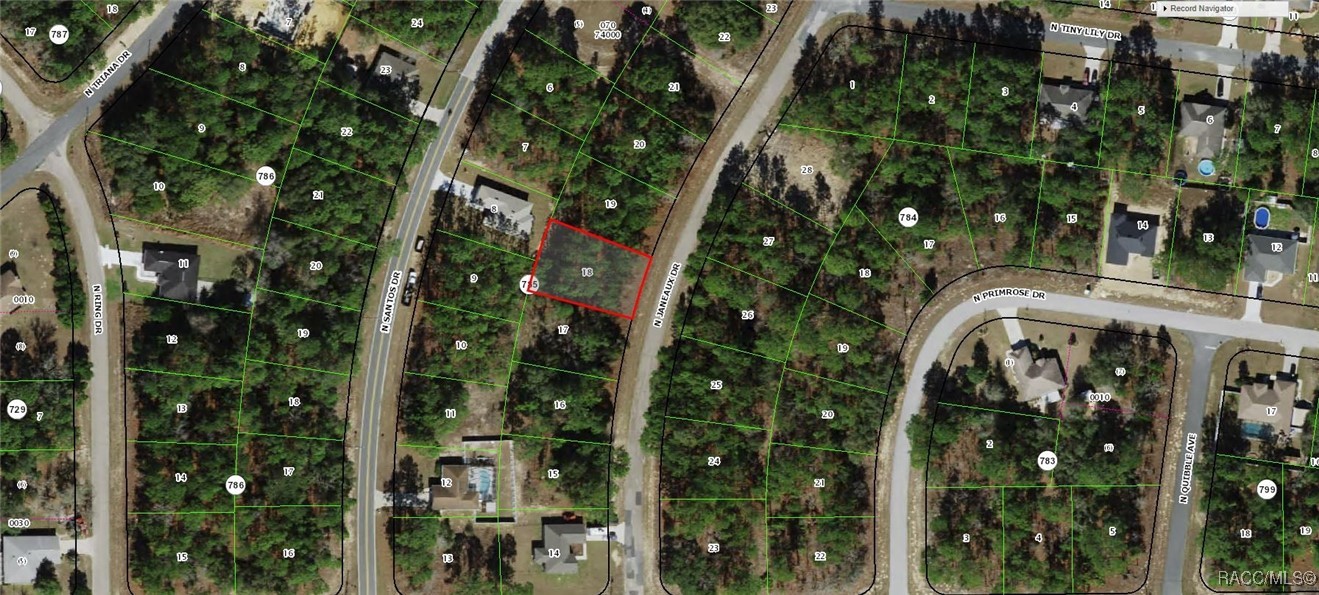 7930 N Janeaux Drive, Citrus Springs, New York image 1