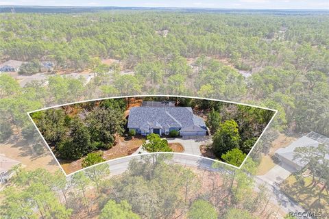 16 Drypetes Court E Homosassa FL 34446