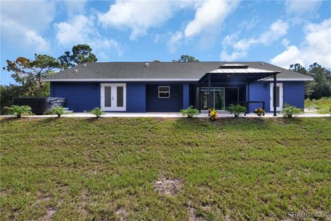 A home in Hernando