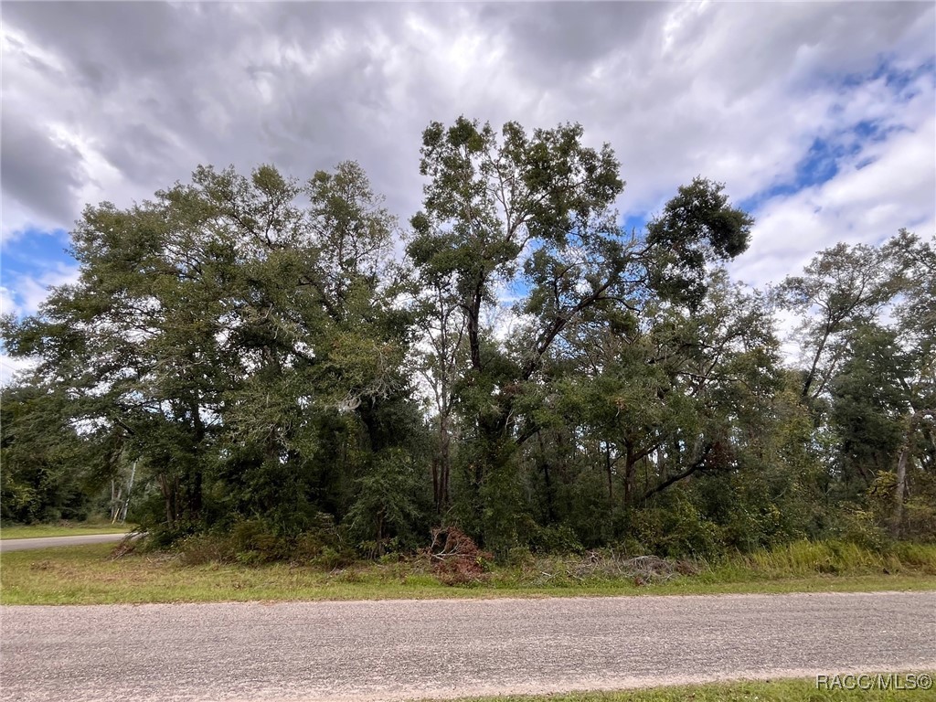 8811 N Quarry Drive, Citrus Springs, Florida image 4