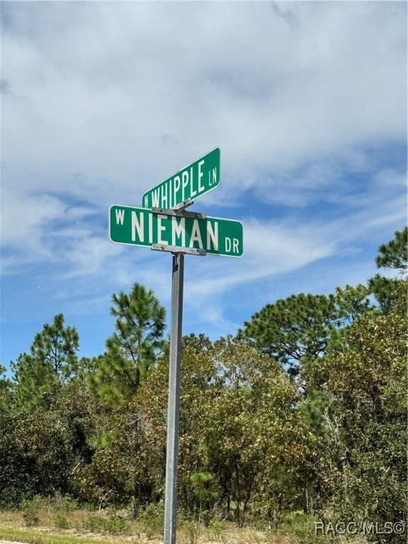 3584 W Nieman Drive, Dunnellon, Florida image 6