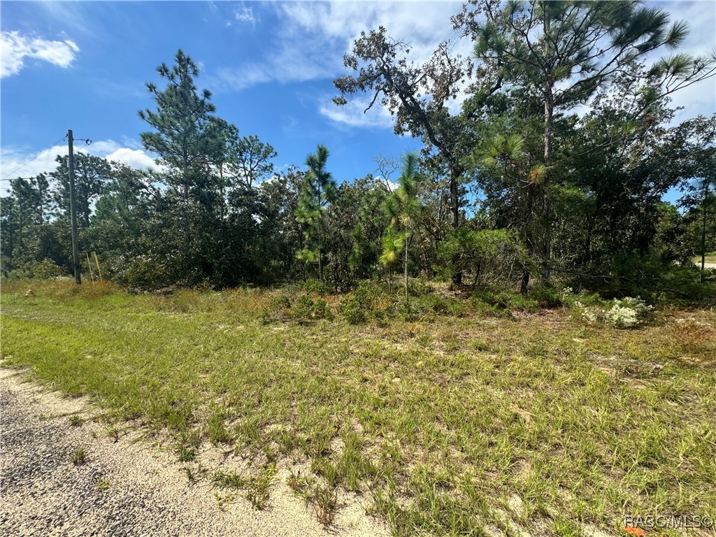 3584 W Nieman Drive, Dunnellon, Florida image 3