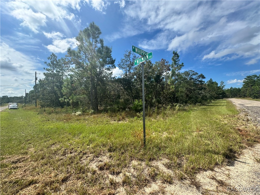 3584 W Nieman Drive, Dunnellon, Florida image 5