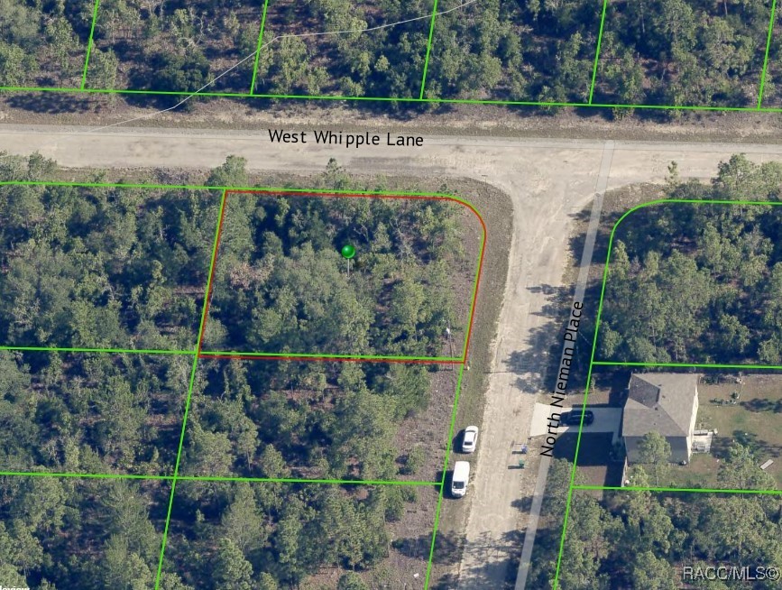 3584 W Nieman Drive, Dunnellon, Florida image 2