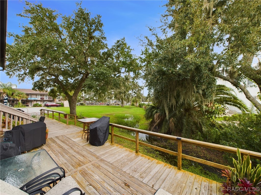 5180 S Gray Pelican Way, Homosassa, Florida image 18