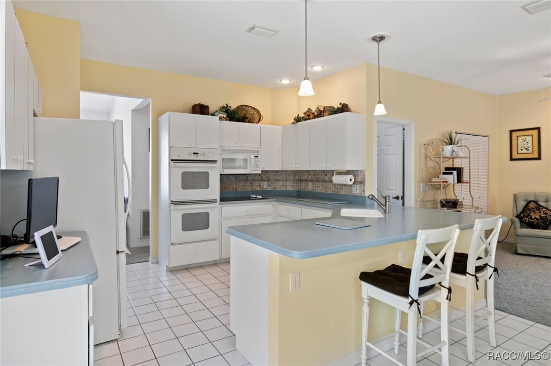 408 W Crestmont Court, Beverly Hills, Florida image 10