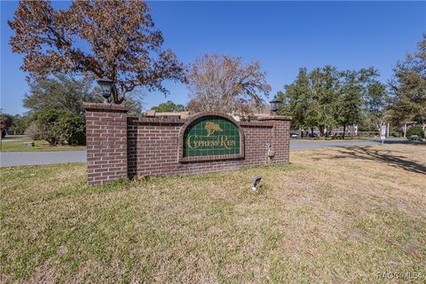 A home in Homosassa