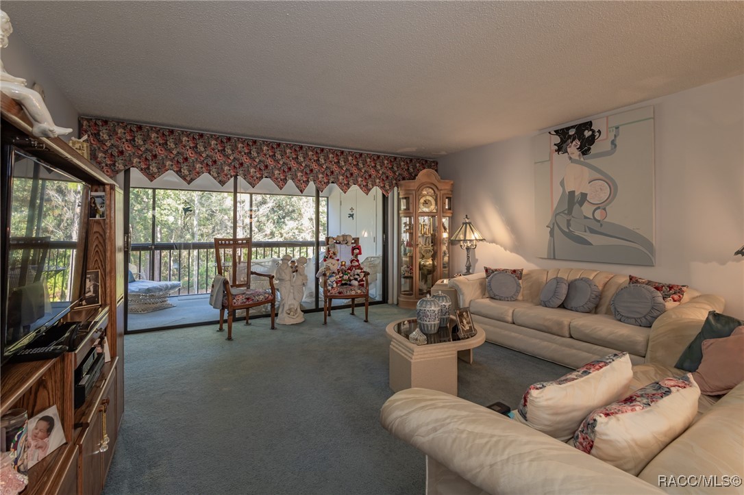 1 Cypress Run #11B, Homosassa, Florida image 17