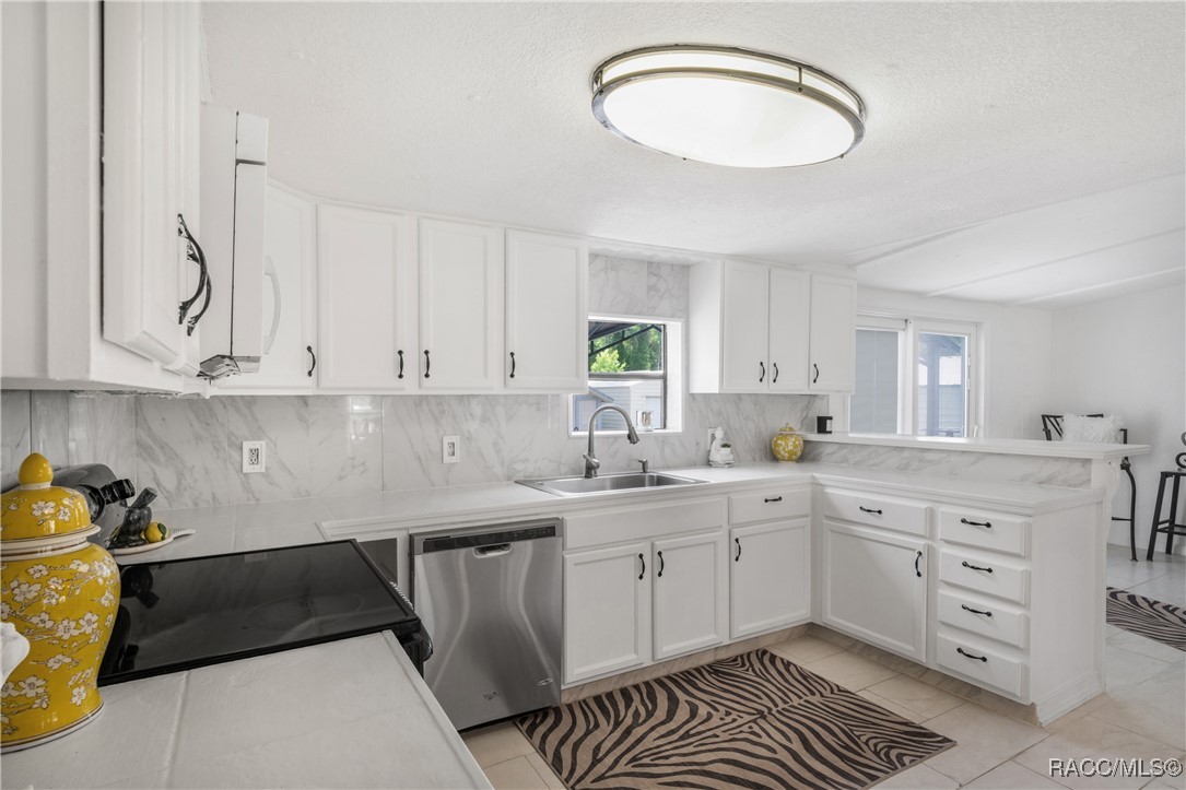 8356 W Tawny Rose Lane, Crystal River, New York image 5