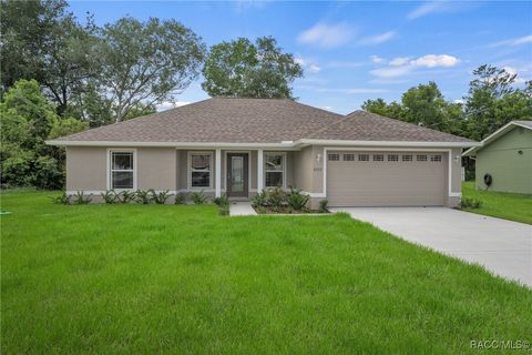 A home in Citrus Springs