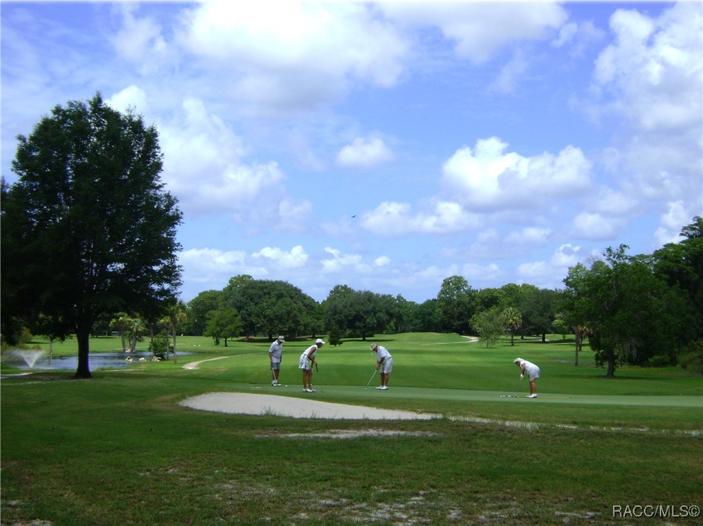 6463 W Lexington Drive, Crystal River, Florida image 46