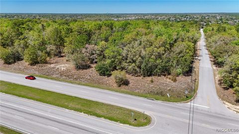 161 W Norvell Bryant Highway Hernando FL 34442