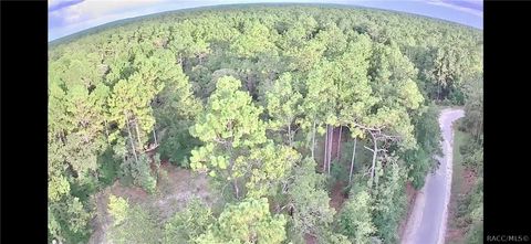 A home in Dunnellon