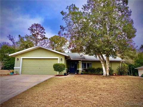 Homes For Sale - 8 Hollyhock Court<br/> Homosassa, FL 34446