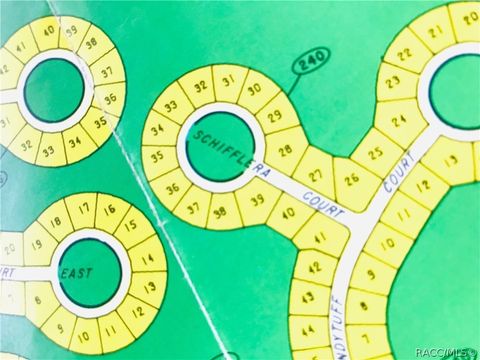 Vacant Land For Sale - 10 Schefflera Court<br/> Homosassa, FL 34446